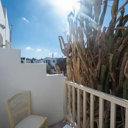 酒店 弗莱士精品酒店 3*