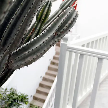 弗莱士精品酒店 Mykonos Town