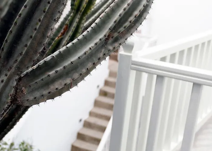 Fresh Boutique Mykonos Town