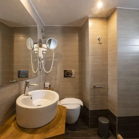 酒店 弗莱士精品酒店