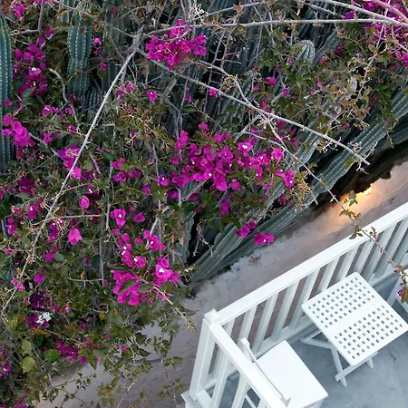 酒店 弗莱士精品酒店 Mykonos Town