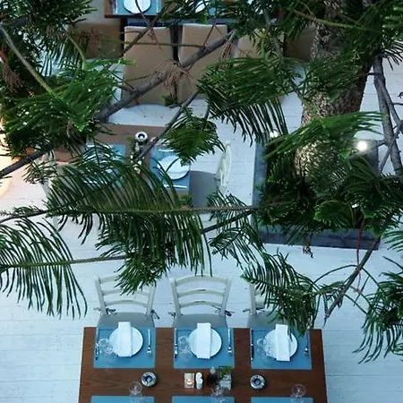 酒店 弗莱士精品酒店 3*