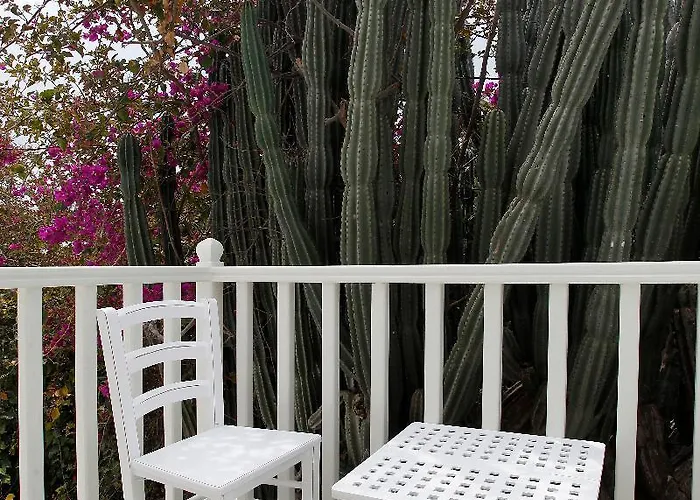 Fresh Boutique מלון