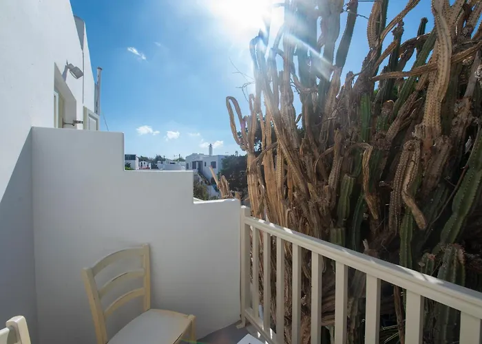 Отель Fresh Boutique 3*